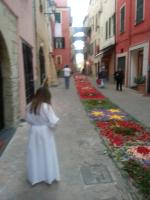 Frantoio - B&B Riva Ligure