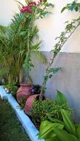 Navegantes Flats - B&B Natal