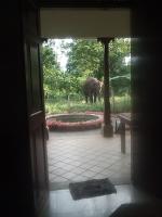Owls Nest - B&B