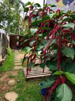 Pousada Tia Cleide - B&B Caraguatatuba