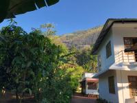 Green Shades - B&B Munnar