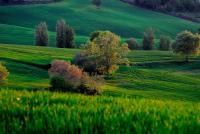 Il Capuccio - B&B San Lorenzo in Campo