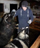 Standard Doppelzimmer