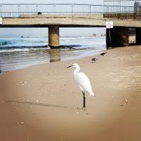 Sweet Home On The Beach - B&B