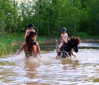 Standaard Appartement