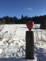 Hahnenklee Ferienpark 136 - B&B Goslar