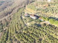 Holiday House Petrarca - Bed and Breakfast