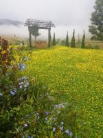 Baan Ing Phu บ้านอิงภู - Chambres d’hôtes Ban Khao Ya Nua