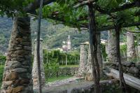 Casa la foriana - B&B
