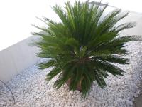 Villa Alfaguara-Holiday Home Granada & Sierra Nevada - Chambres d’hôtes Grenade