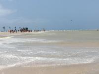 Cardon Big Calm 14 - B&B Costa Calma