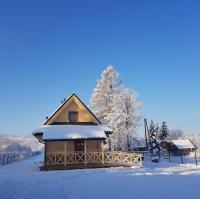 Eko domki MaMastra Szaflary - Chambres d’hôtes Szaflary