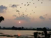 Elysium Kovalam - B&B