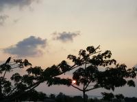 Elysium Kovalam - Bed and Breakfast Madras