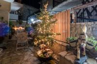 Lykovrisi Guest House - B&B