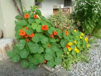 Hotel Restaurant Sunnmatt - B&B Aeschi