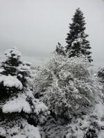 Apartment mit Terrasse