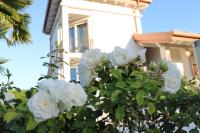 Agriturismo La Torretta - B&B Pescantina