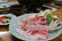 Takasagoya Ryokan - B&B Terauchi-isano