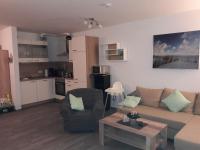 Friesenmöwe - B&B Horumersiel