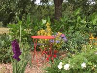 B&B Sainte-Suzanne - Ecrin de Verdure - Bed and Breakfast Sainte-Suzanne