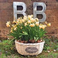 B&B Nascondino - B&B