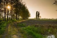 B&B Nascondino - B&B Goito