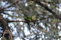 Termini Binario 1&2 - B&B Rome