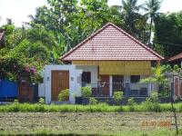 Murnis Bungalow - B&B Lovina