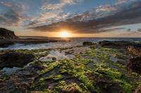 Fronton Whale Apartamentos - Ferienwohnung Gáldar