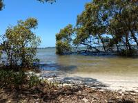 Oasis Private 2 Bed Apartment - B&B Caloundra