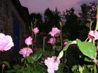 La petite Vallee - Chambres d’hôtes La Chapelle-Largeau