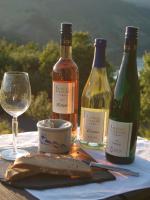 Weingut Gorges-Reinhard - B&B Wintrich