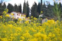 Appartamento Giulio - B&B Villamagna