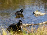 Three-Bedroom Cottage - River's Edge