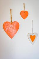 Deluxe Double Room (Orange)
