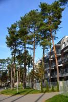 Apartament Pod Sosnami - Bed and Breakfast