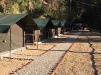 Jungle Stays - B&B Chail