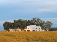 Mas Illa de Riu - Auténtica Masía del Delta del Ebro con capacidad para 20 personas - Deltavacaciones - Chambres d'hôtes Sant Jaume d'Enveja