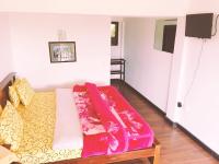 Superior Tweepersoonskamer met Balkon en Uitzicht op de Bergen