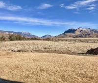 B&B Wapiti - Yellowstone Cutthroat Guest Ranch - Bed and Breakfast Wapiti