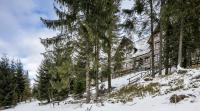 TWOJA CHATA Apartament pod lasem zarezerwuj na podhalami pl - Ferienwohnung