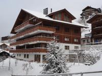 Chalet Bella Vista 4 - Ferienwohnung