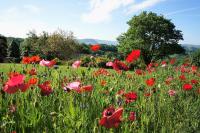 Domaine des Marequiers Le Gite Asphodèle - Bed and Breakfast Saint-Germain-du-Teil