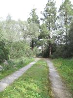 Villa Font March - Ferienwohnung Pollença