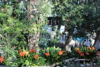 Nature's Valley Health Retreat A Hide away in the Forest - Chambres d’hôtes Nature’s Valley