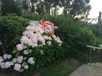 Bahía Pelícanos - Chambres d’hôtes Horcón