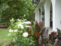 Loft en Casona Colonial - B&B Santa Rosa