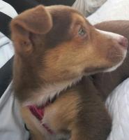 Anna Vì Guest Home - B&B Roma