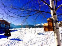 Appartamento con Vista Montagna